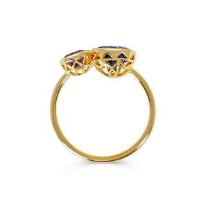 Inséparables - Tanzanite & Amethyst