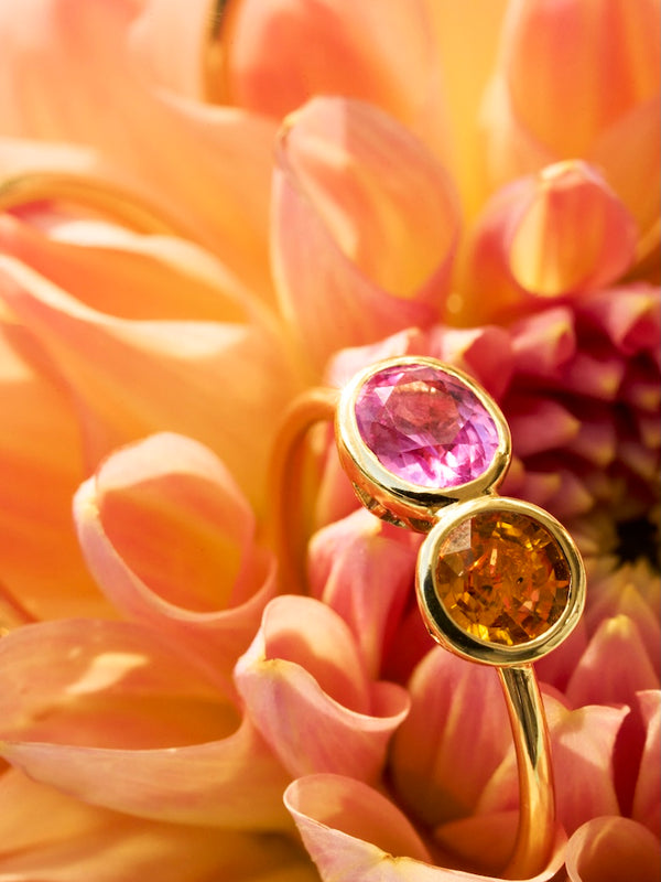 Nos <em>Inséparables</em>