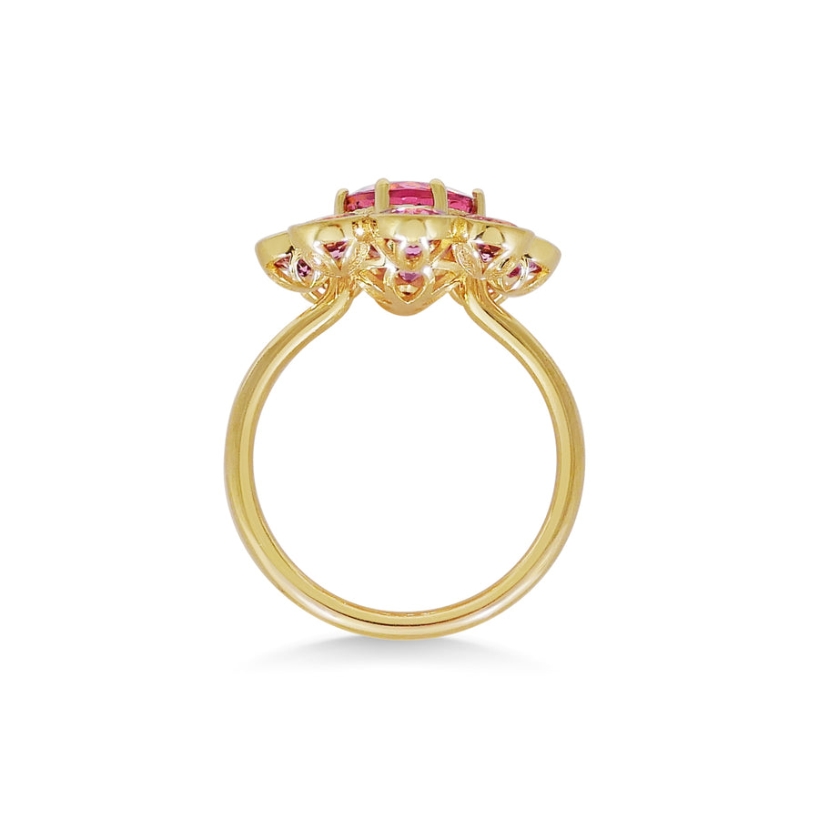 Mega-Marguerite | Pink Tourmaline